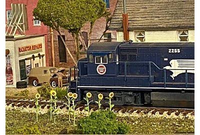 Sunflowers, speed tests, and night trains