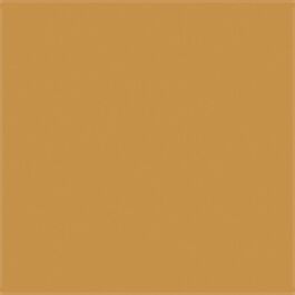 Testor - Model Master FS Enamels - 1/2oz 14.8mL - Wood - 704-1735