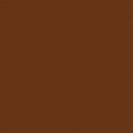 Testor - Model Master FS Enamels - 1/2oz 14.8mL - Leather - 704-1736