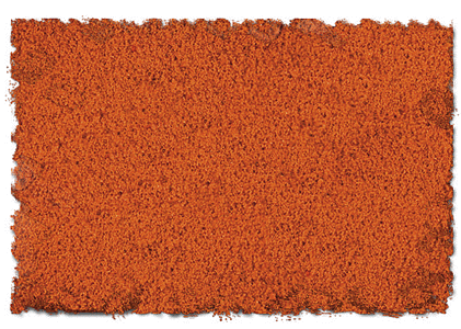 burnt orange foamposites