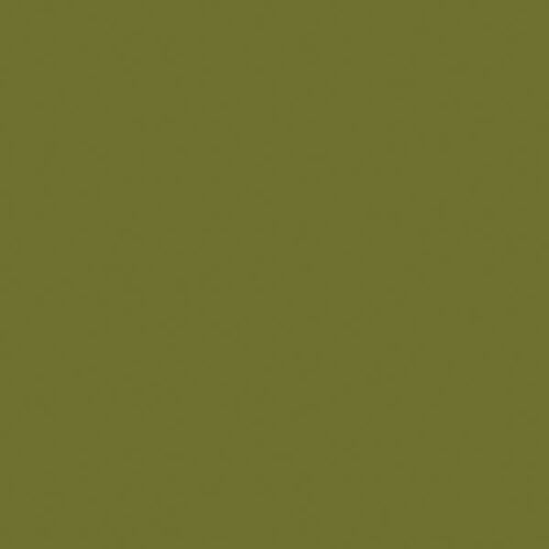 TruColor Metallic Acrylic Paints 1oz 29.6mL Lime Green Tintcoat