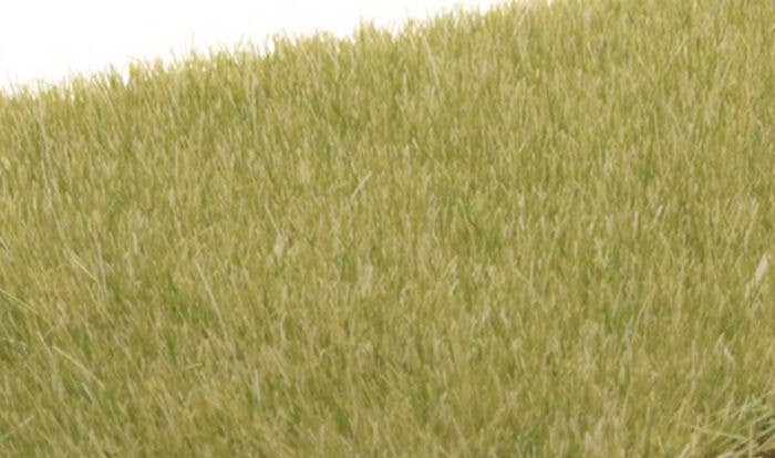 Woodland Scenic Erba Statica 4mm – Verde Chiaro, Per Modellismo Diorami E Paesaggi Ferroviari