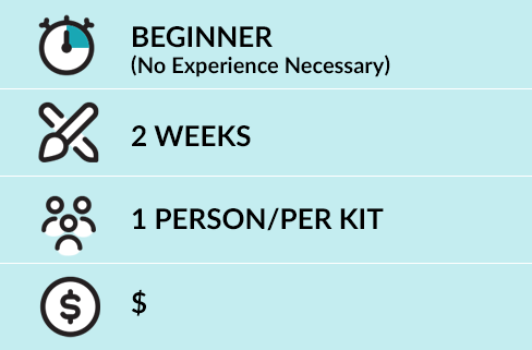 Chart: Beginner (no experience necessary), 2 weeks to complete, 1 person per kit, low cost option