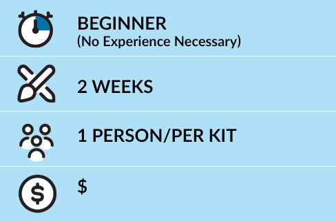 Chart: Beginner (no experience necessary), 2 weeks to complete, 1 person per kit, low cost option