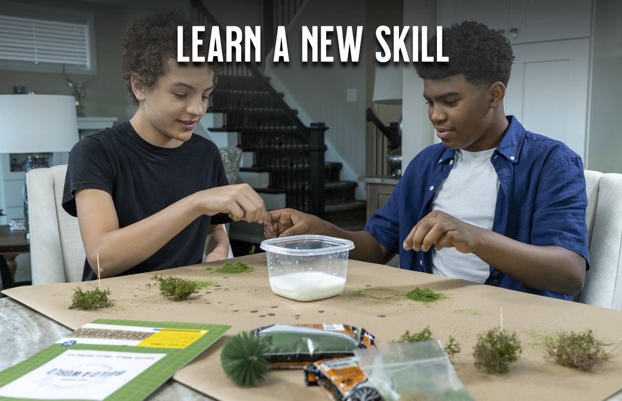 Learn a new skill